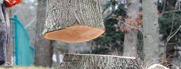 Best Commercial Tree Services  in Buford, GA